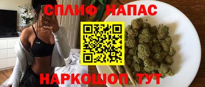 спиды Будённовск